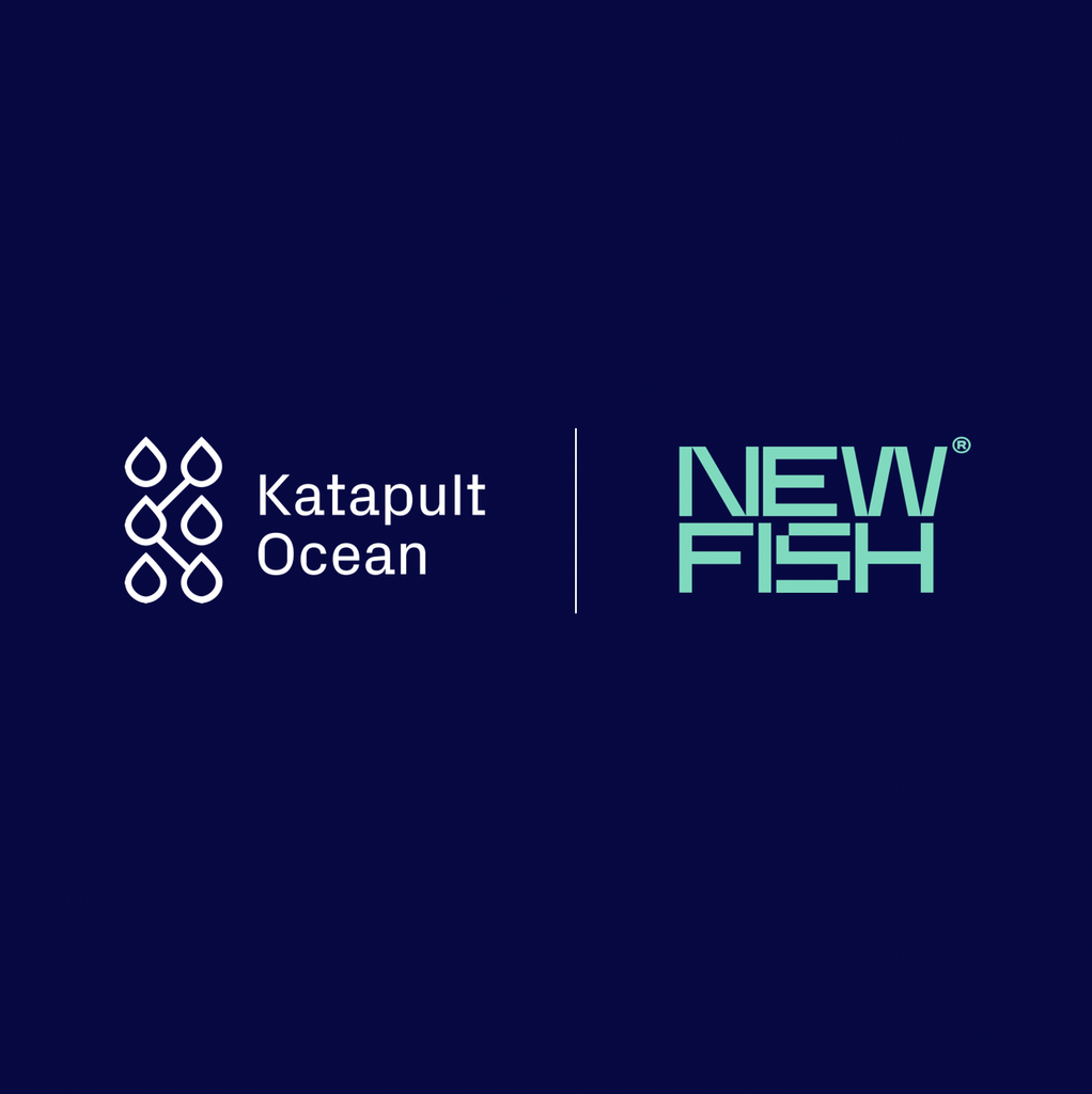 Katapult Ocean Fund invests in NewFish as biotechnology venture develops Marine Whey Protein 80 prototype